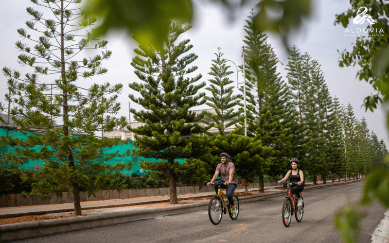Minutes from the Airport, Miles from the Chaos: A Day in the Life at Aldovia